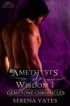 Amethysts of Wisdom 1 (Gemstone Chronicles 2) eBook